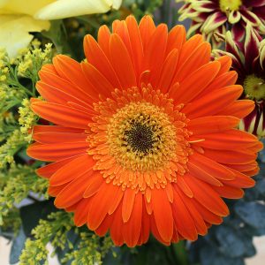 Photography for Car Dealerships