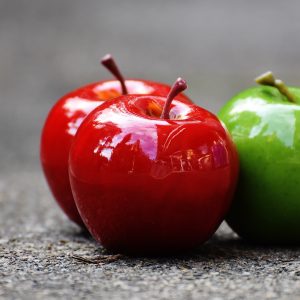 Photography for Non-Profit Organizations