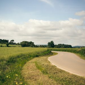 Custom Artwork for Commercial Use